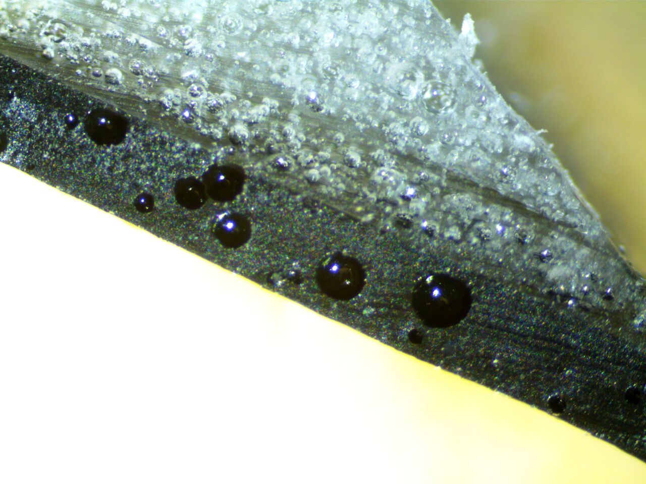 5.2.1 Two Oceans Lab Work 5.2.1 Two Oceans Lab Work