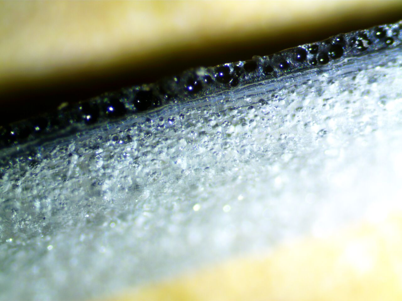 5.2.3 Two Oceans Lab Work 5.2.3 Two Oceans Lab Work