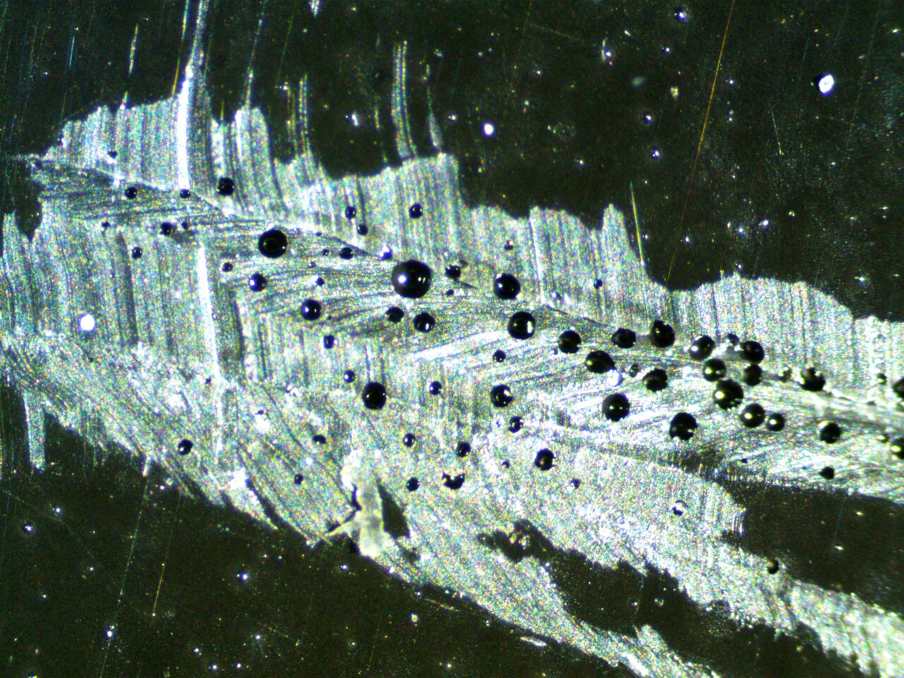 5.2.4 Two Oceans Lab Work 5.2.4 Two Oceans Lab Work